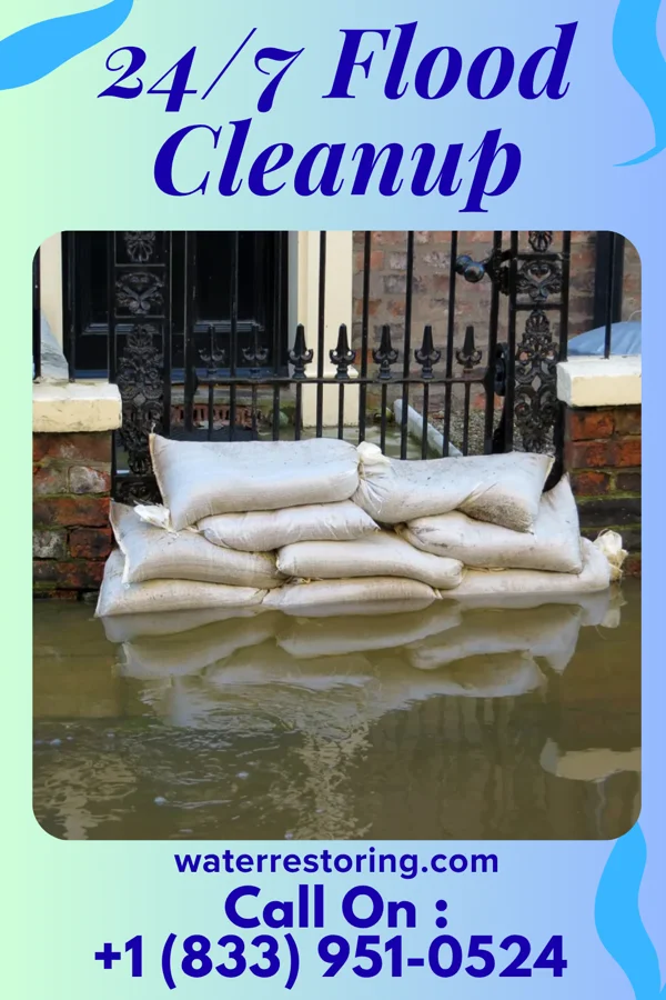 24/7 Flood Cleanup in Ozark, MO