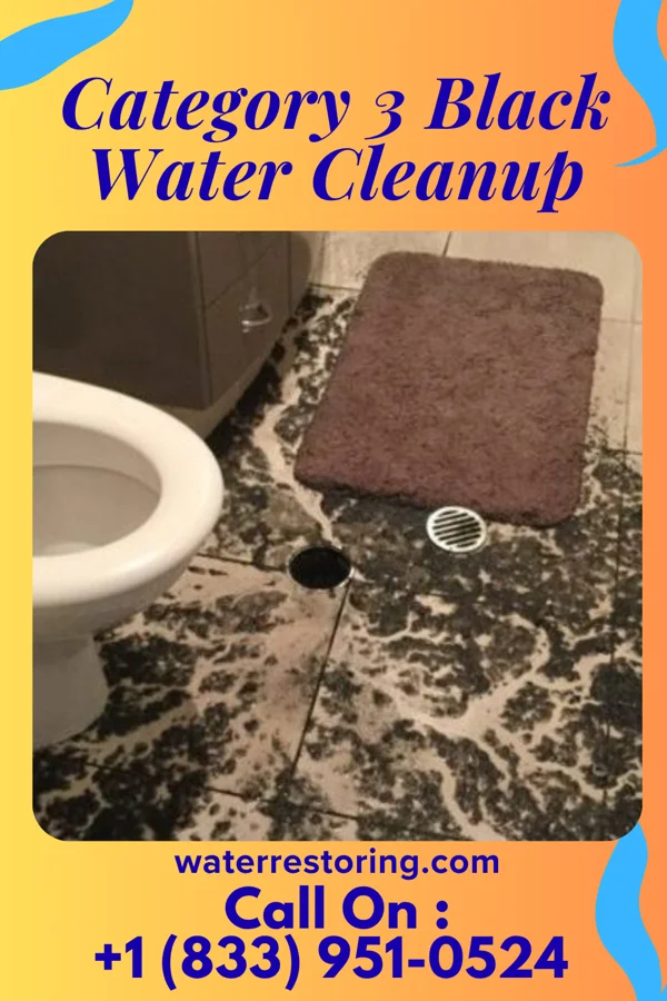 Category 3 Black Water Cleanup in Ozark, MO