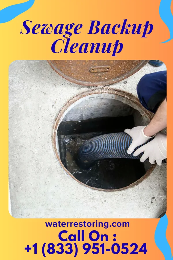 Sewage Backup Cleanup in Ozark, MO